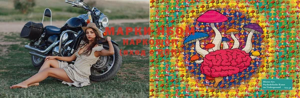 соль ск Сясьстрой